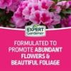 Expert Gardener Azalea, Camellia & Rhododendron Plant Food Fertilizer 10-8-8, 4 lb.